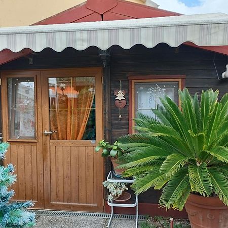 Nonna Lori'S Chalet Pisa Zona Stazione E Aeroporto Bagian luar foto